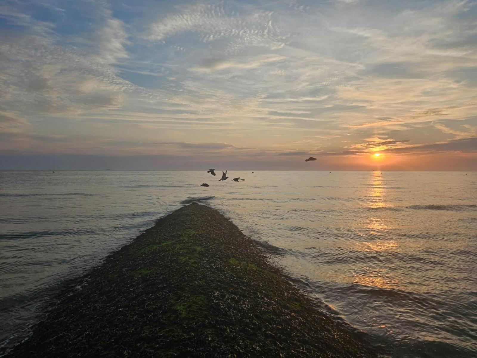 Entre Ciel Et Mer Luc-sur-Mer Dış mekan fotoğraf